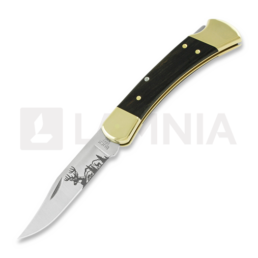 Buck Folding Hunter 110 folding knife, Lamnia Exclusive