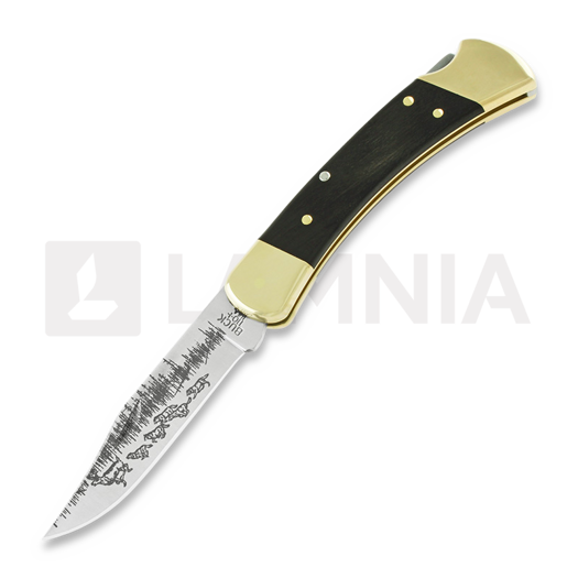 Buck Folding Hunter 110 folding knife, Lamnia Exclusive