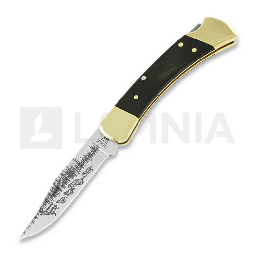 Buck Folding Hunter 110 folding knife, Lamnia Exclusive