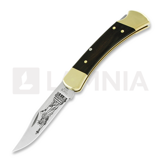 Buck Folding Hunter 110 folding knife, Lamnia Exclusive