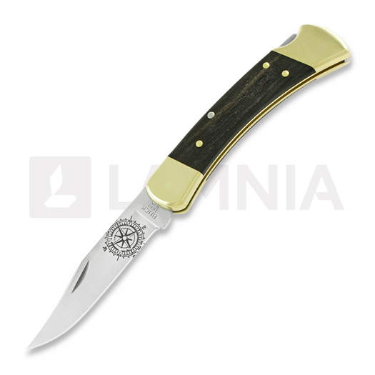 Buck Folding Hunter 110 folding knife, Lamnia Exclusive
