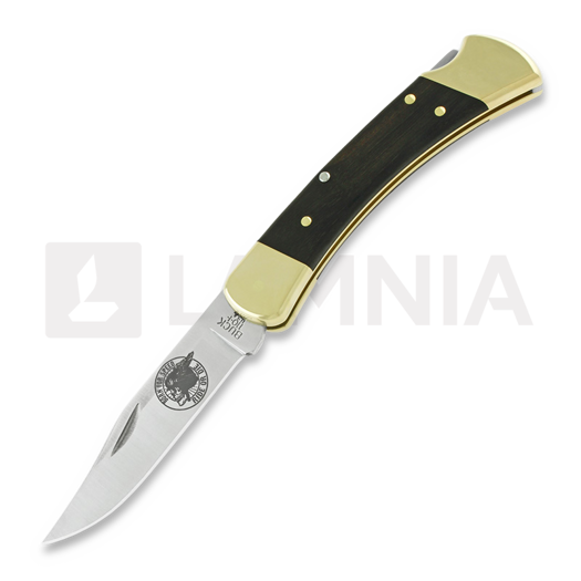 Buck Folding Hunter 110 folding knife, Lamnia Exclusive