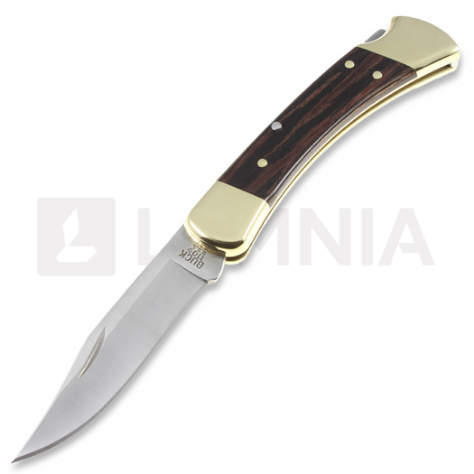 Buck Folding Hunter 110 foldekniv, leather belt pouch BU110