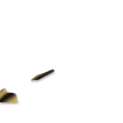 Sac de dormit Carinthia G250, M