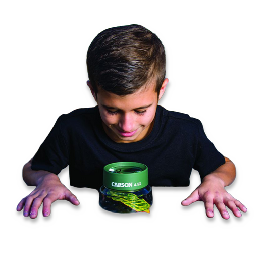 Carson Optics Bug Loupe Stand Magnifier