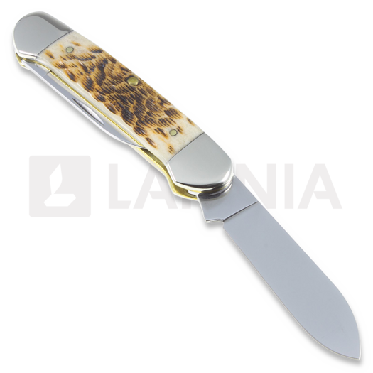 Case Cutlery Canoe Amber Bone pocket knife 00263