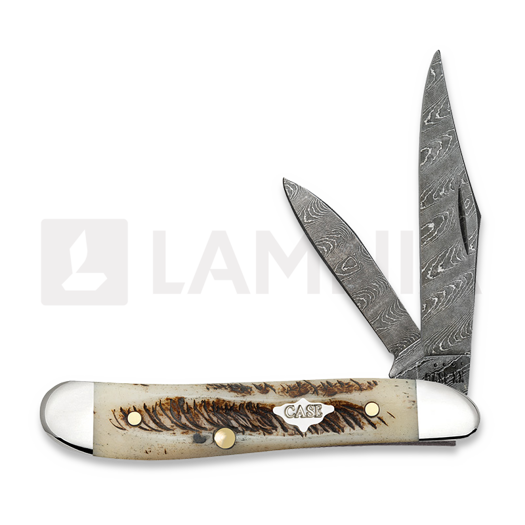 Case Cutlery Saddlehorn Damascus, Vintage Bone 77467