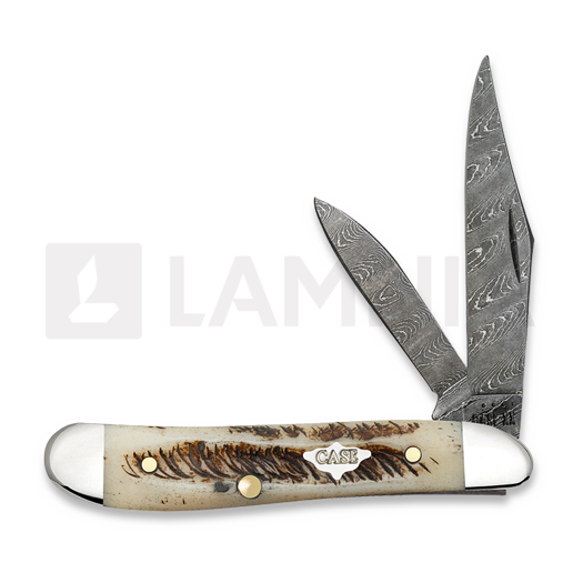 Case Cutlery Saddlehorn Damascus, Vintage Bone 77467