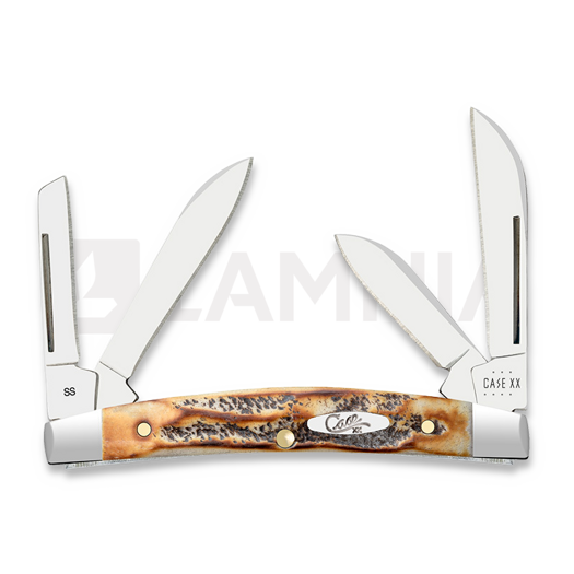 Case Cutlery Small Congress, 6.5 BoneStag 65337