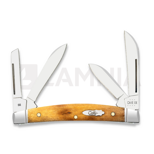 Case Cutlery Small Congress, Antique Bone Smooth 58209