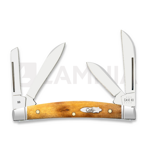 Case Cutlery Small Congress, Antique Bone Smooth 58209