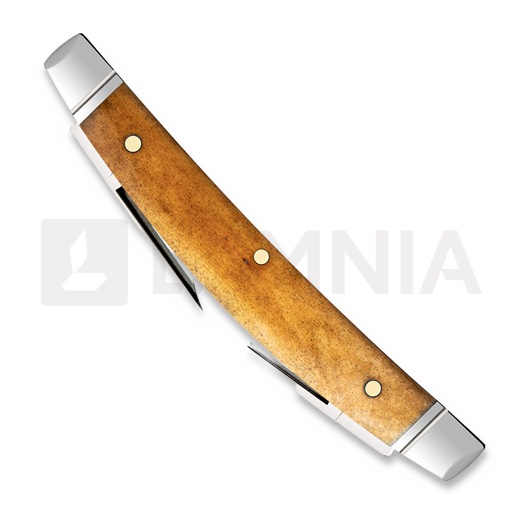 Case Cutlery Small Congress, Antique Bone Smooth 58209