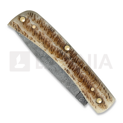 Case Cutlery Sod Buster Jr, Vintage Bone 77461