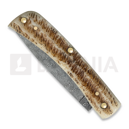 Case Cutlery Sod Buster Jr, Vintage Bone 77461