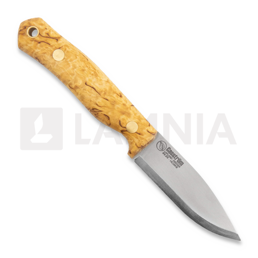 Casström No.8 SFK Curly Birch 12808