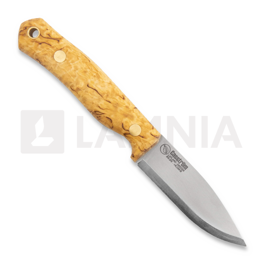 Casström No.8 SFK Curly Birch 12808