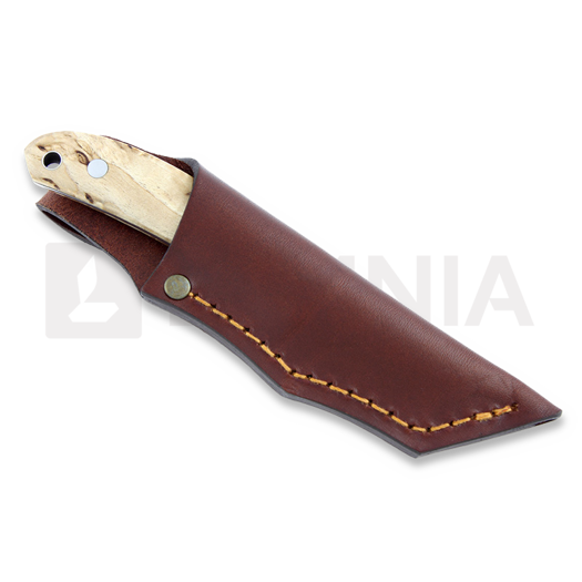 Casström Safari Mini Hunter kniv, stab. curly, leather 10618