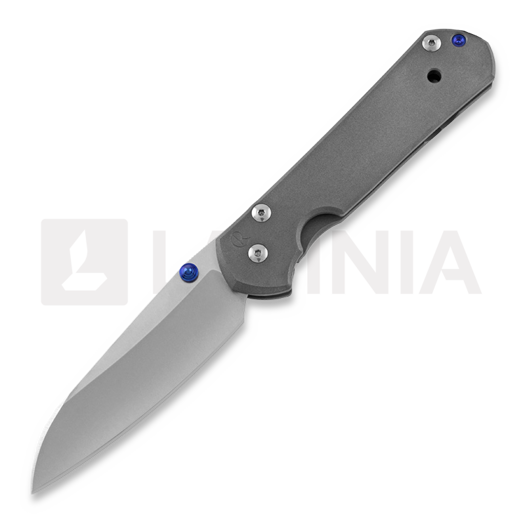 Chris Reeve Sebenza 21 Insingo סכין מתקפלת, large L21-1008