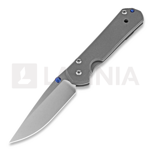 Chris Reeve Sebenza 21 folding knife, large L21-1000