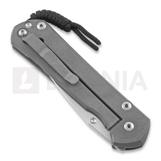 Couteau pliant Chris Reeve Sebenza 21, small, CGG Chain Mail S21-1258