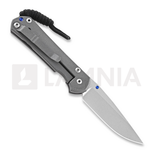 Chris Reeve Sebenza 31 sulankstomas peilis, small S31-1000