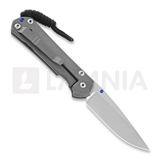 Coltello pieghevole Chris Reeve Sebenza 31, small S31-1000