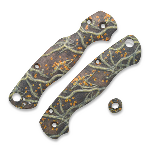 Chroma Scales Para 2 Roots Scales