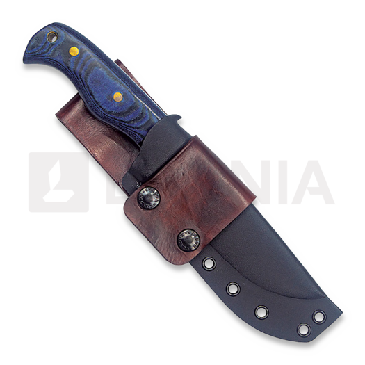 Condor Blue Havoc