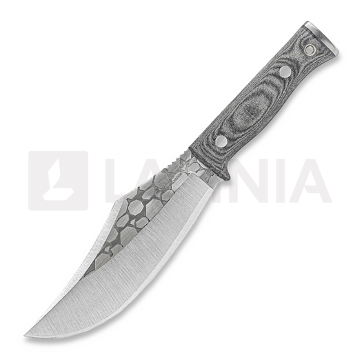 Condor Gryphus Bowie