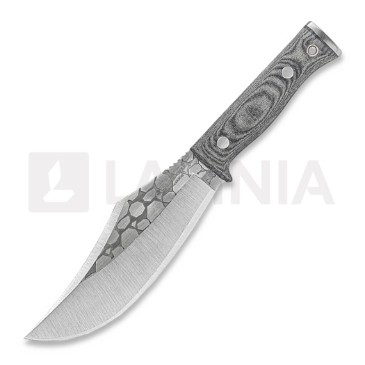 Condor Gryphus Bowie