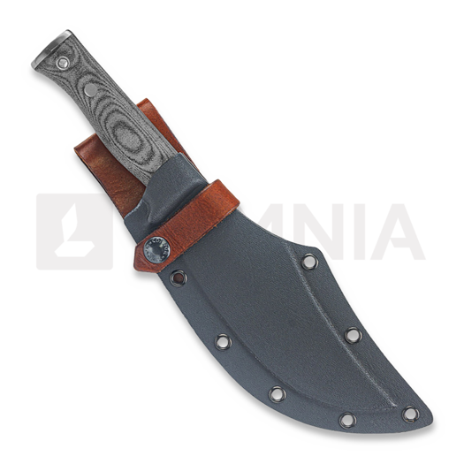 Condor Gryphus Bowie