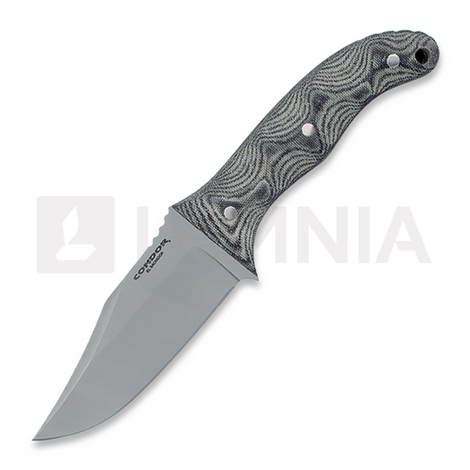 Condor Little Bowie