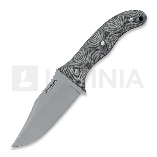 Condor Little Bowie