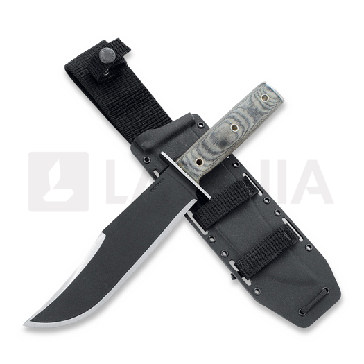 Condor Operator Bowie