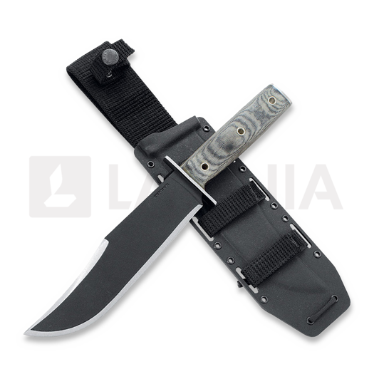 Condor Operator Bowie