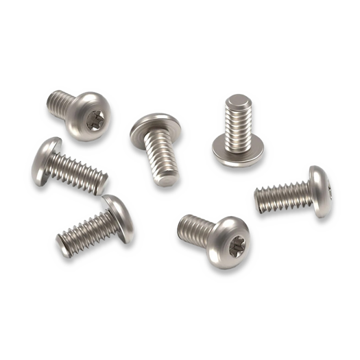 Flytanium Set of 7 Titanium Body Screws for 51, 6X and 32 Silver