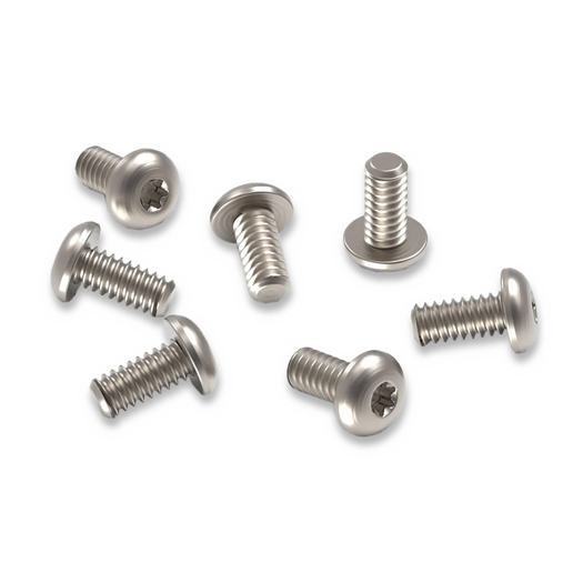 Flytanium Set of 7 Titanium Body Screws for 51, 6X and 32 Silver