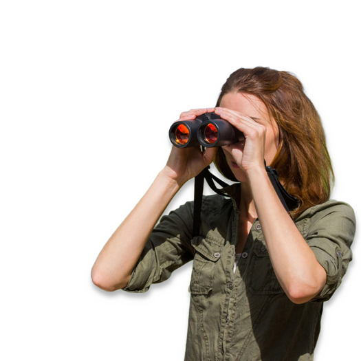 Fripro Binocular harness