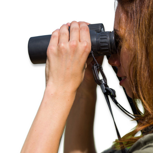 Fripro Binocular harness