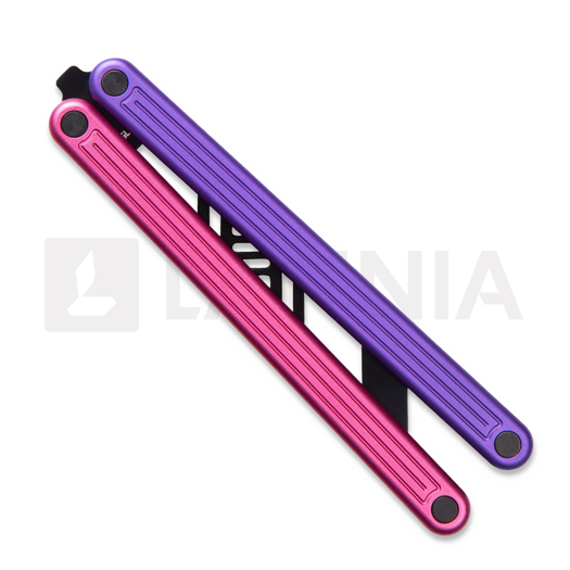 Glidr Arctic perhosveitsi harjoitteluun, milky way