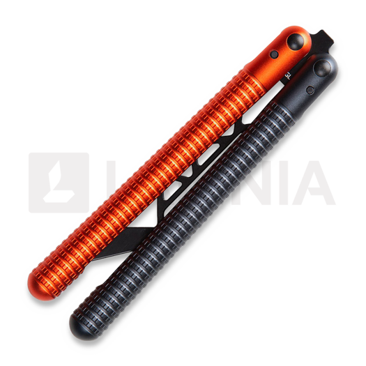 Glidr Sahara perhosveitsi harjoitteluun, desert dust