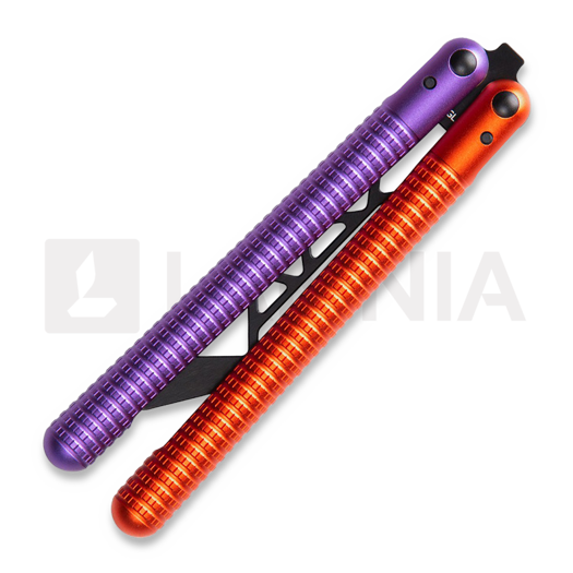 Glidr Sahara perhosveitsi harjoitteluun, jupiter