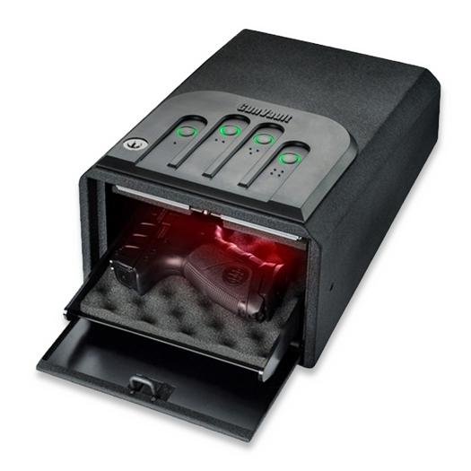 Gun Vault Mini Vault