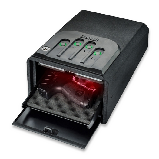 Gun Vault Mini Vault