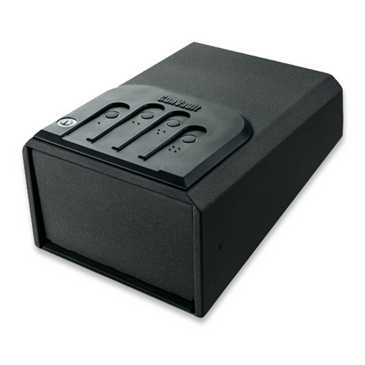 Gun Vault Mini Vault