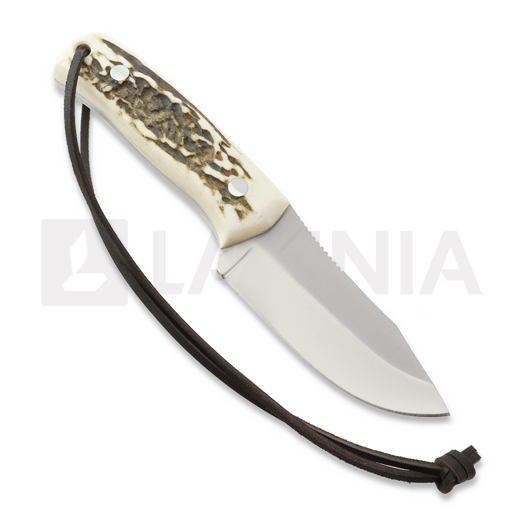 Joker Gran Erizo k&eacute;s, Stag