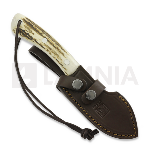 Joker Nessmuk kniv, Stag
