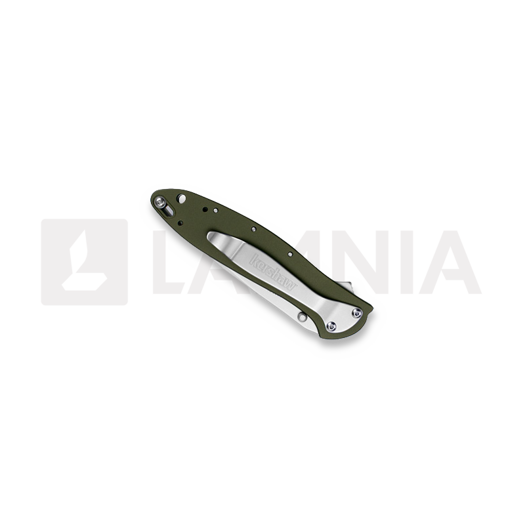 Coltello pieghevole Kershaw Leek, verde 1660OL