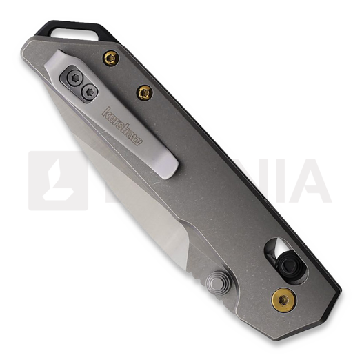 Kershaw Mini Iridium Titanium sulankstomas peilis 2051TI