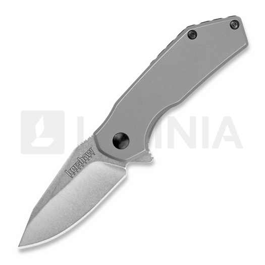 Saliekams nazis Kershaw Valve 1375